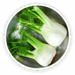 Prime Biome review: a top-down view of two whole fennel bulbs in a silver bowl, representing the fennel seed ingredient.