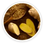 Prime Biome review: a top-down view of organic Ceylon ginger, with a whole root, several slices, and a wooden spoon with ginger powder.