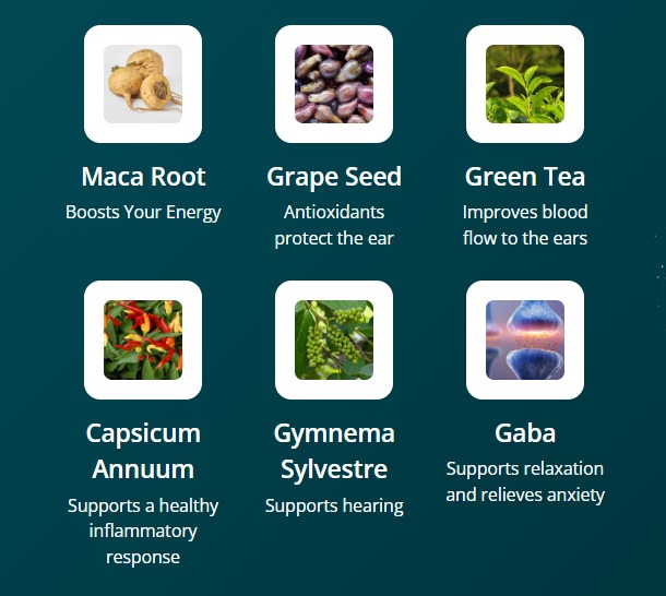 Audifort review of key ingredients: a visual showing Maca Root for energy, Grape Seed for antioxidants, Green Tea for blood flow, Capsicum Annum for inflammation, Gymnema Sylvestre for hearing support, and GABA for relaxation.