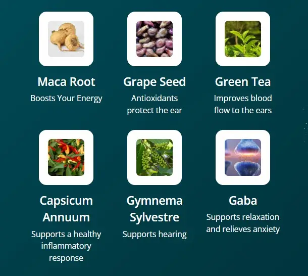 Audifort review of key ingredients: a visual showing Maca Root for energy, Grape Seed for antioxidants, Green Tea for blood flow, Capsicum Annum for inflammation, Gymnema Sylvestre for hearing support, and GABA for relaxation.