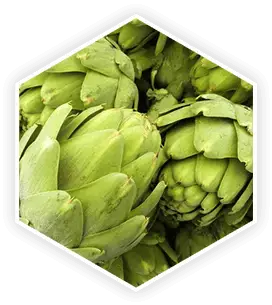 A close-up hexagonal image of artichokes, an ingredient for ProstaVive supplement. This photo is featured in an article for a ProstaVive review.
