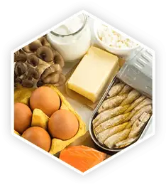 A variety of natural Vitamin D sources including eggs, salmon, sardines, mushrooms, butter, and cheese,