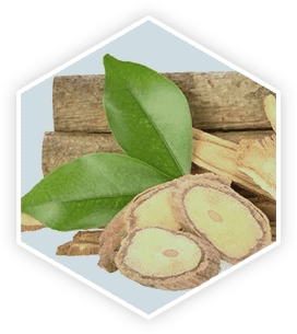 A hexagonal close-up of Tongkat Ali, showing its roots, sliced pieces, and fresh leaves. This image represents a key ingredient in the ProstaVive supplement featured in this ProstaVive review.