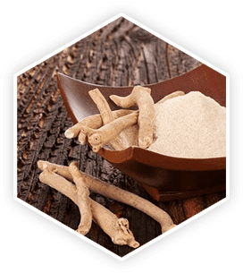 Ashwagandha root and powder, a key ingredient highlighted in this ProstaVive review for its calming and adaptogenic properties.