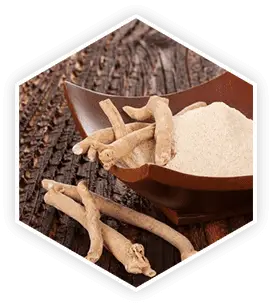 Ashwagandha root and powder, a key ingredient highlighted in this ProstaVive review for its calming and adaptogenic properties.