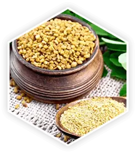 Fenugreek seeds in a bowl and ground powder on a spoon, an ingredient in ProstaVive.