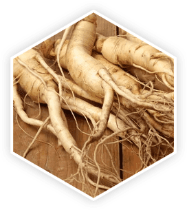 Whole Panax Ginseng roots on a wooden background, representing this potent ingredient discussed in the ProstaVive review for energy and vitality.